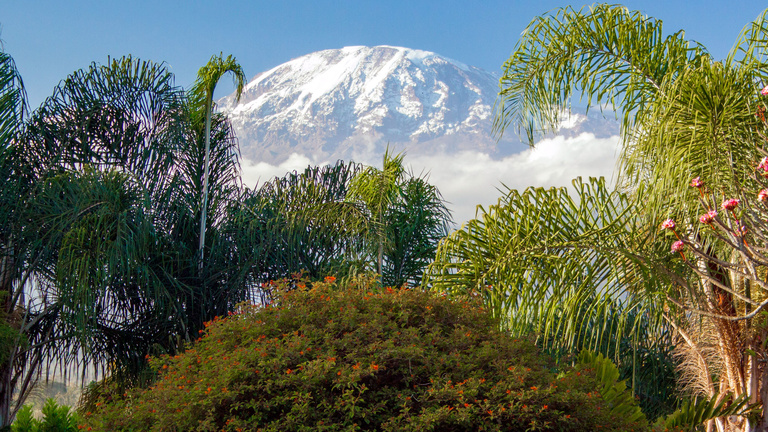Mount Kilimanjaro as seen from the ground