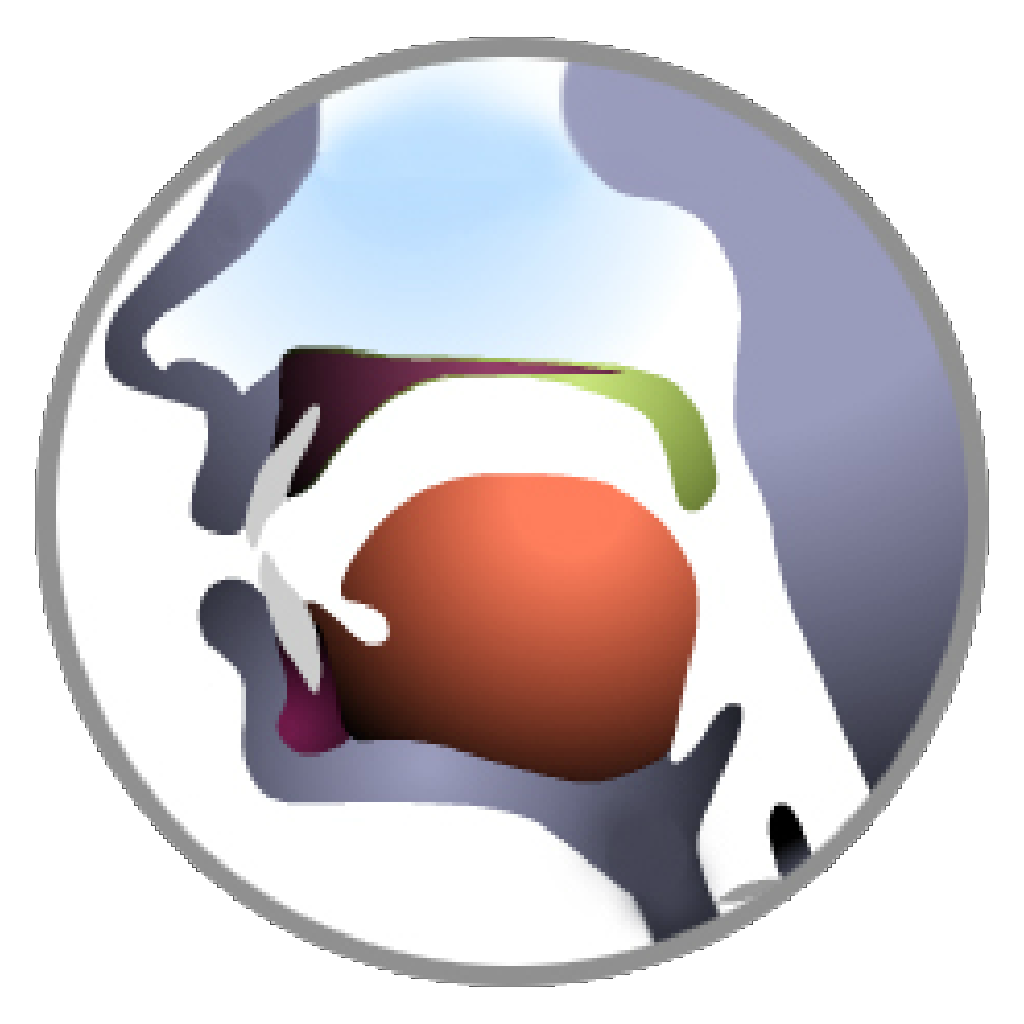 animated cross section of a human vocal tract
