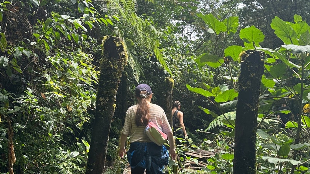 Abigail Kloha hikes through the rainforest in Costa Rica